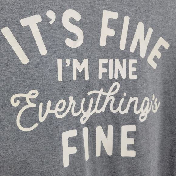 Its Fine Everything Is Fine Joke Tee 3x Grey Heather - Picture 5 of 9